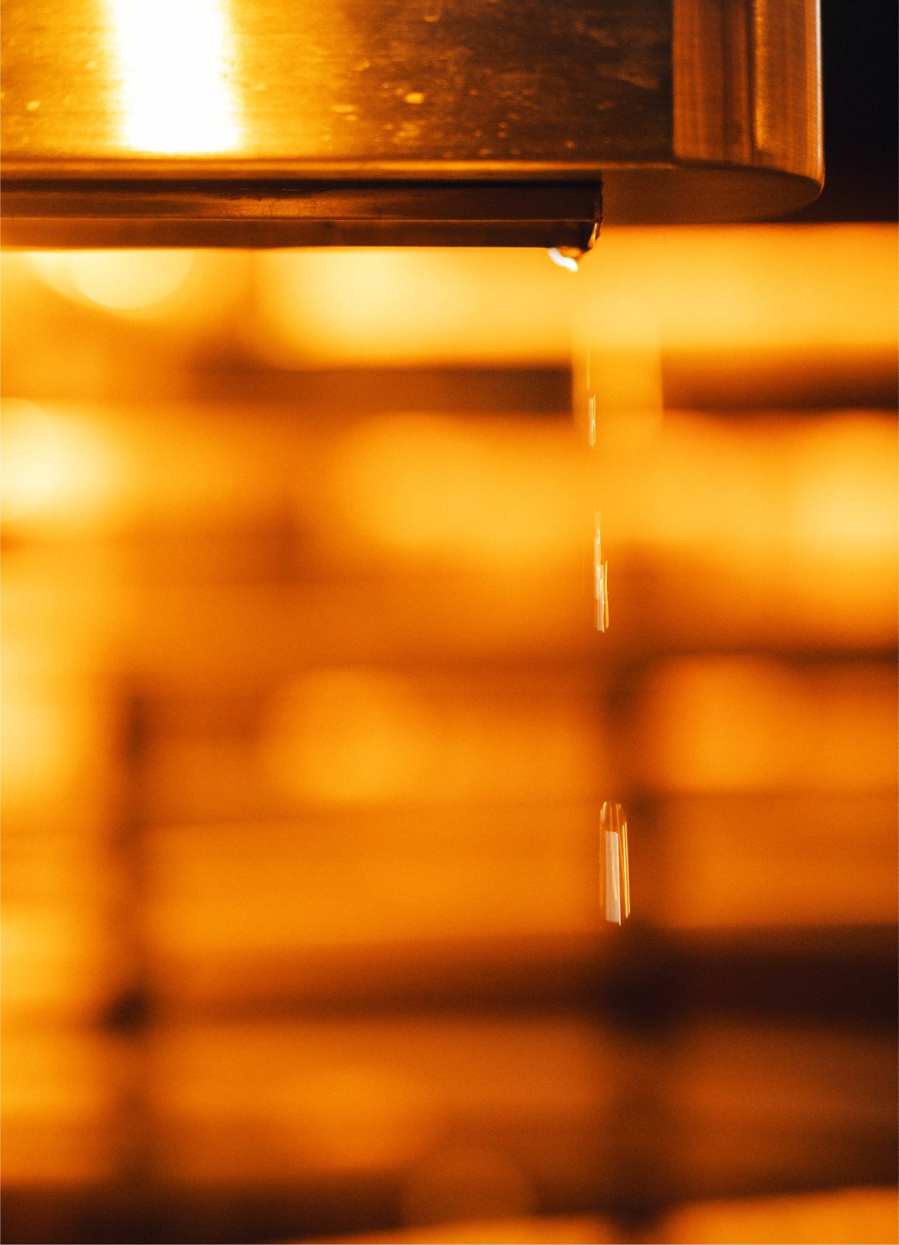 2026_Renovation of Soratomori sauna in Higashidogo